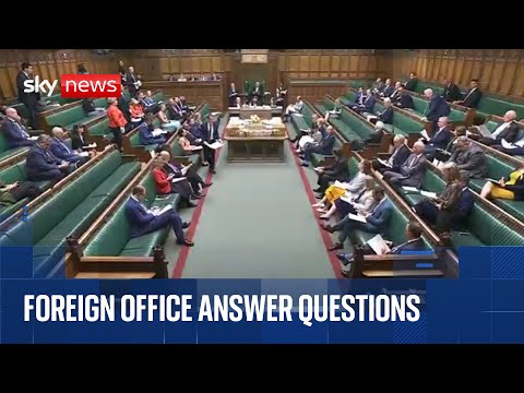 Foreign Secretary David Lammy takes questions in the Commons
