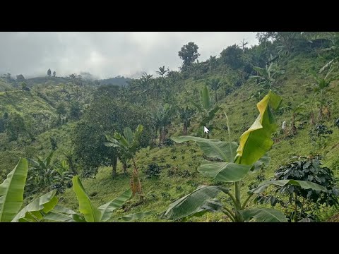 Finca Barata con Casita En Venta $22,100