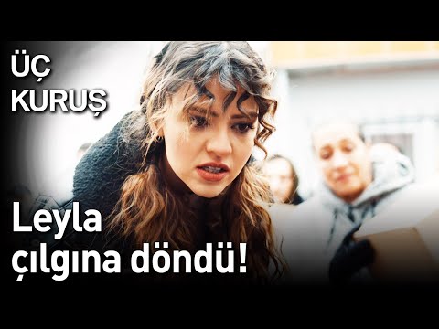 Üç Kuruş 19. Bölüm - Leyla Çılgına Döndü!