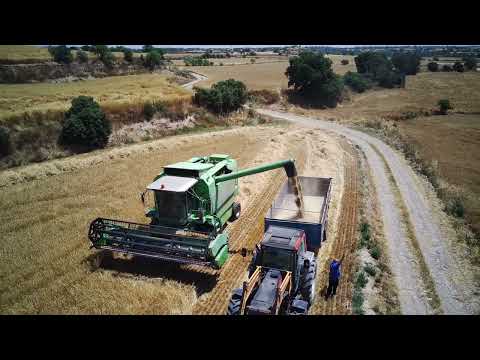 L'or de la Segarra
