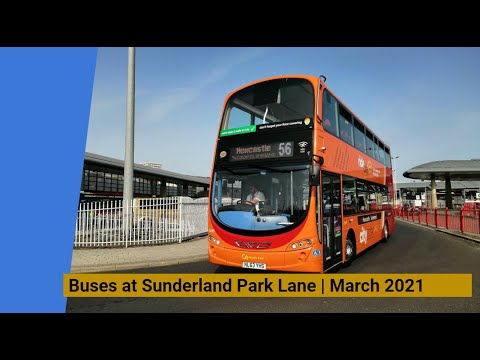 Buses at Sunderland Park Lane | March 2021