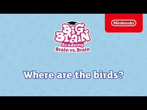 Where are the Birds? - Big Brain Academy: Brain vs. Brain - Nintendo Switch