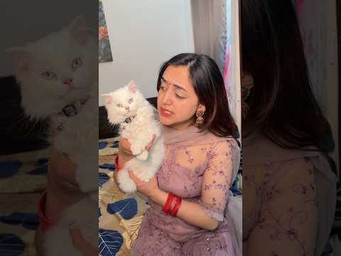 Mera Cat Kho Gaya😨😰 #shorts #trending #love #viral #story #meghachaube
