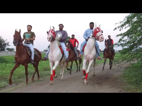 YEOLA - Trail Ride at SAMRAT JADHAV Farm || Maharashtra