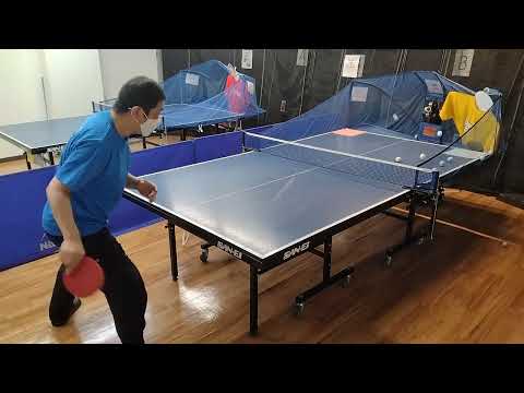 ニッタク ブラスタック バタフライ ロゼナ 打ち比べ Nittaku Blastac BUTTERFLY Rozena #卓トレ春日部豊春店 #卓球 #pingpong #tabletennis