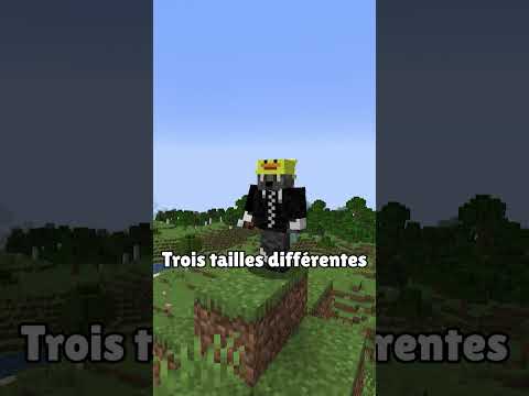 marre des patrouilles ?