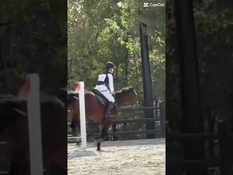 We went double clear😝😝 #horse #equestrianjourney #eventing #equestrian