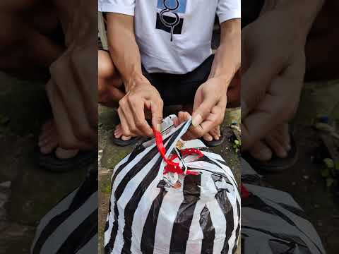 Memanfaatkan barang bekas #idekreatif #idekreatifterbaru