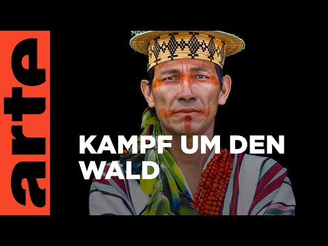 Brasilien: Die Hüter des Waldes | Doku HD | ARTE