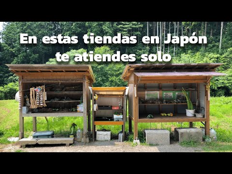 Tiendas sin VENDEDORES en JAPON - Mujin Hanbai