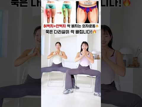 허벅지 안쪽살이 다 빠진다고 난리난 의자운동 #흥둥이 #workout