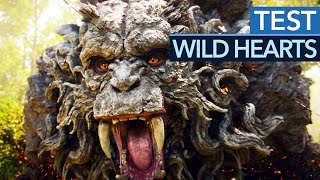 Vido-Test : Wild Hearts ist ein eindrucksvolles Monster, leider auch bei der Technik! - Test / Review
