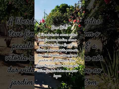 16 de outubro de 2025