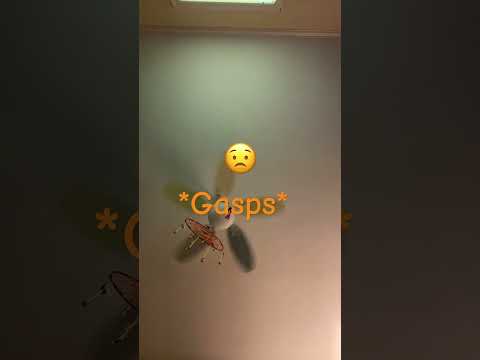 Lights out and night light on 💡🔦🚨 #fnaf #funny #something #idk