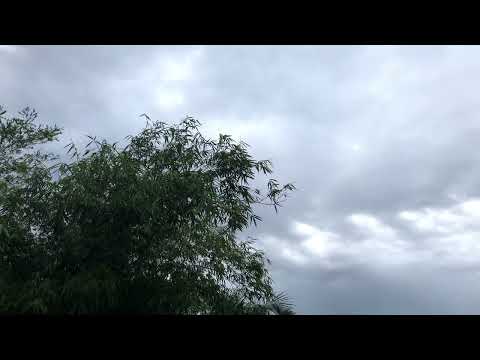 Mùa mưa vùng nhiệt đới