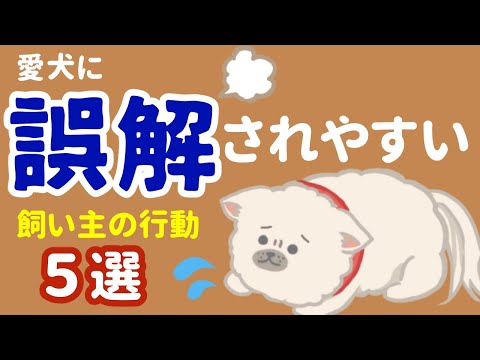 愛犬は嫌がってるかも？犬に誤解を与える飼い主の行動