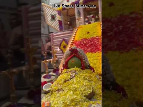 Sabarimala Pooja #ayyappa #pooja #reels #videoshort #viralshort #2024