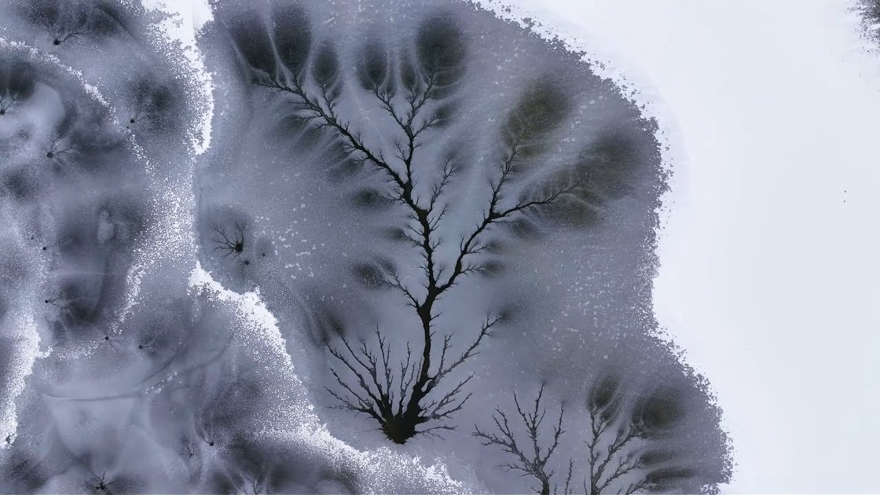 Les arbres de glace du Xinjiang : un romantisme hivernal figé dans le temps