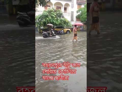 বহরমপুরে হাটু জল পেরিয়ে স্কুলে যাচ্ছে ছাত্রীরা #school #berhampur
