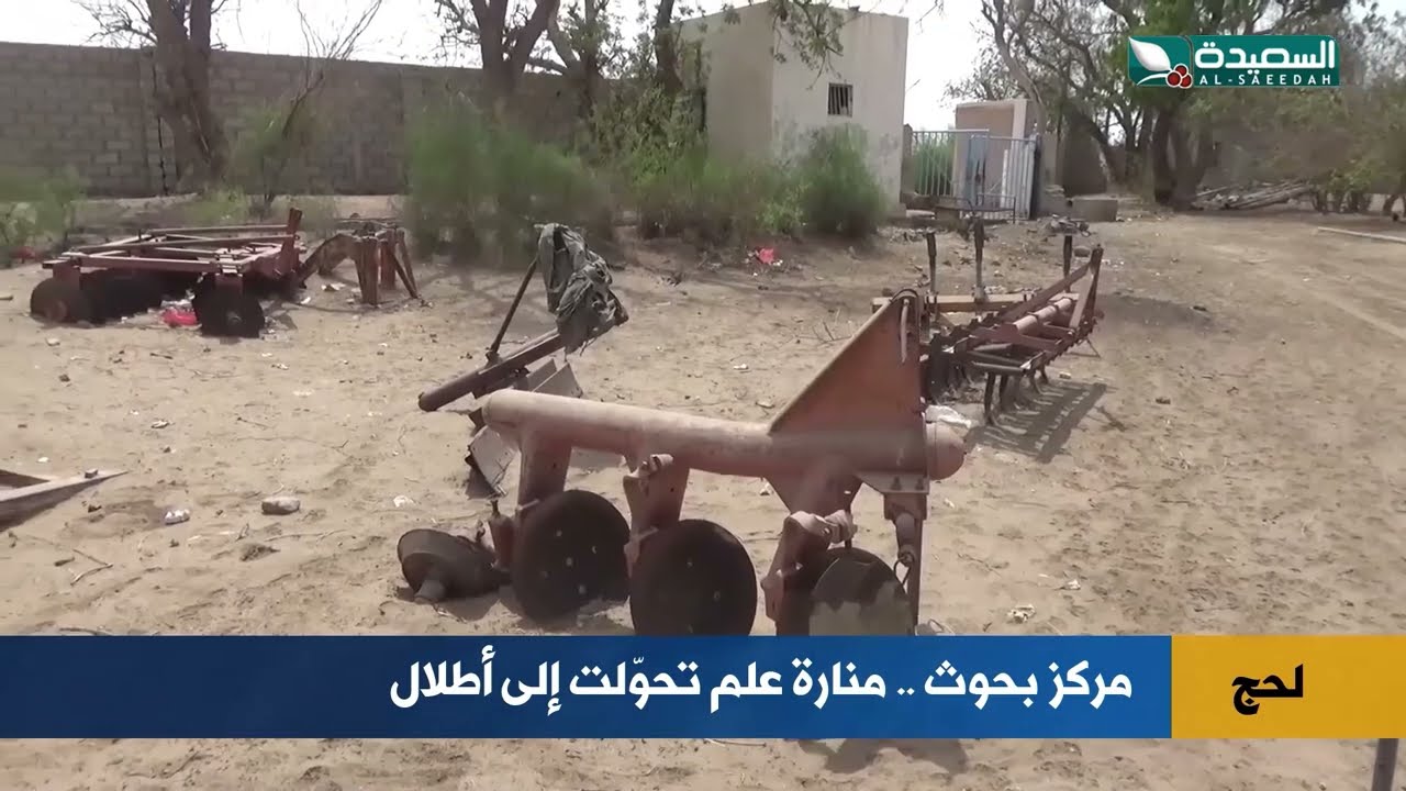 قناة السعيدة