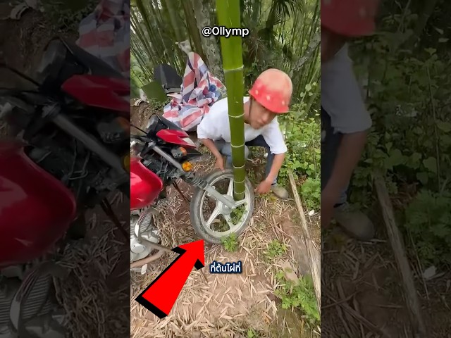 เค้ารู้วิธีออกจากต้นไผ่
