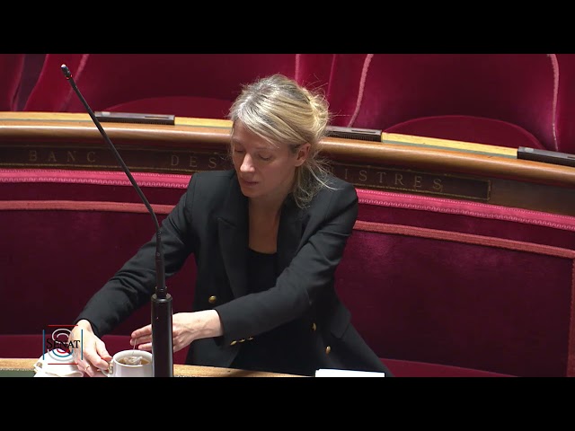 Débat sénatorial sur le thème : « Quelle action de la France pour prendre en compte l'enjeu environnemental ? ».
