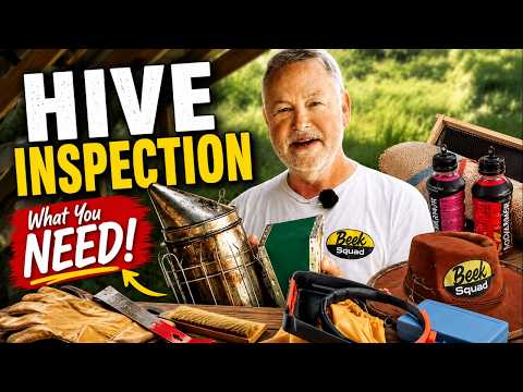 Beekeeping: Everything You Need for a Hive Inspection