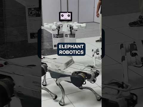 Elephant Robotics | GITEX 2024 in Dubai | IROS 2024 in Abu ...