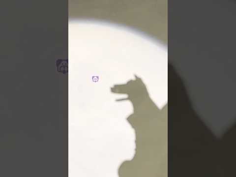 FAVOYまでD-4！練習中に👐
