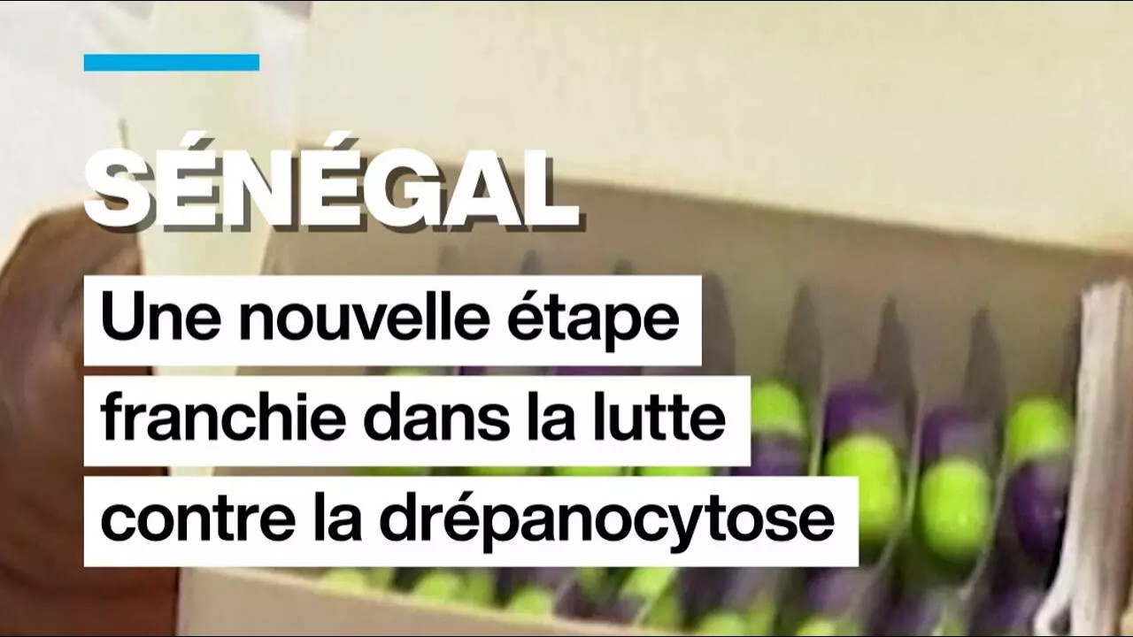 Sénégal : une nouvelle étape franchie dans la lutte contre la drépanocytose • FRANCE 24