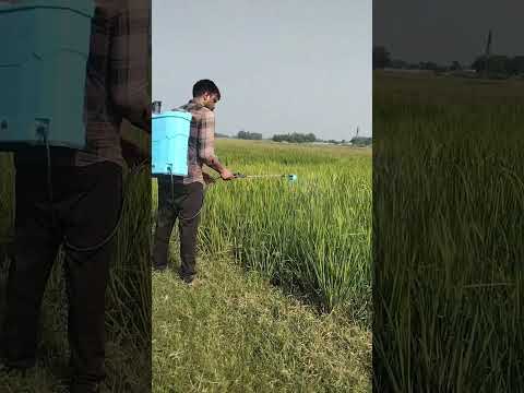 #bhojpuri #song #love #drone