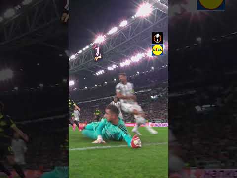 These net cams are just 🤤#UELFreshPicks @lidlgb