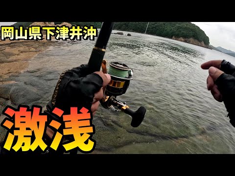 チヌ&マダイの産卵後は激浅釣り場がおススメ! in 岡山県下津井沖