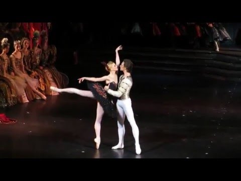 N. Somova, S.Polunin