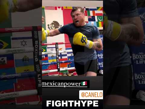 Canelo shows david benavidez "mexican power"; practicing knockout shot that stopped caleb plant