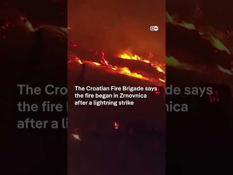 Firefighters tame wildfire near Croatian tourist destination | DW News