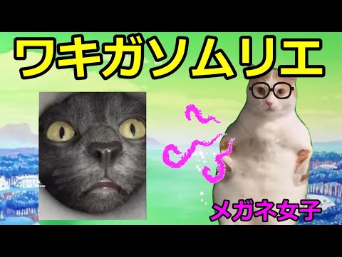 【猫ミーム】ワキガソムリエ