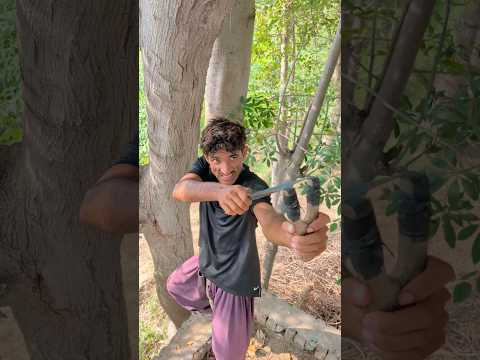 Larky ny birds ko Bacha Lia #shorts #viral