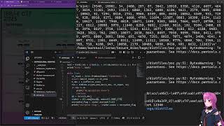 ierae CTF writeup stream