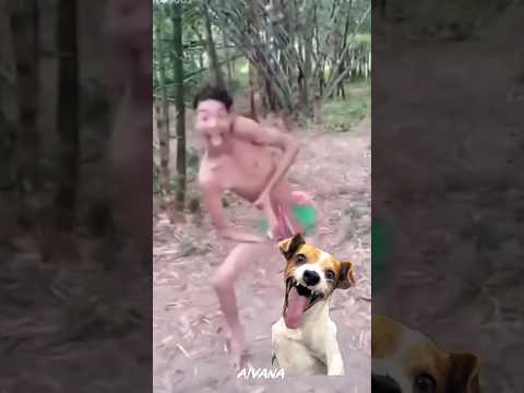 cat funny video 😂🤣| #funny #shorts #viral #video