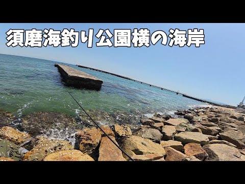 須磨海釣り公園の横の海岸でルアーフィッシングすると・・・
