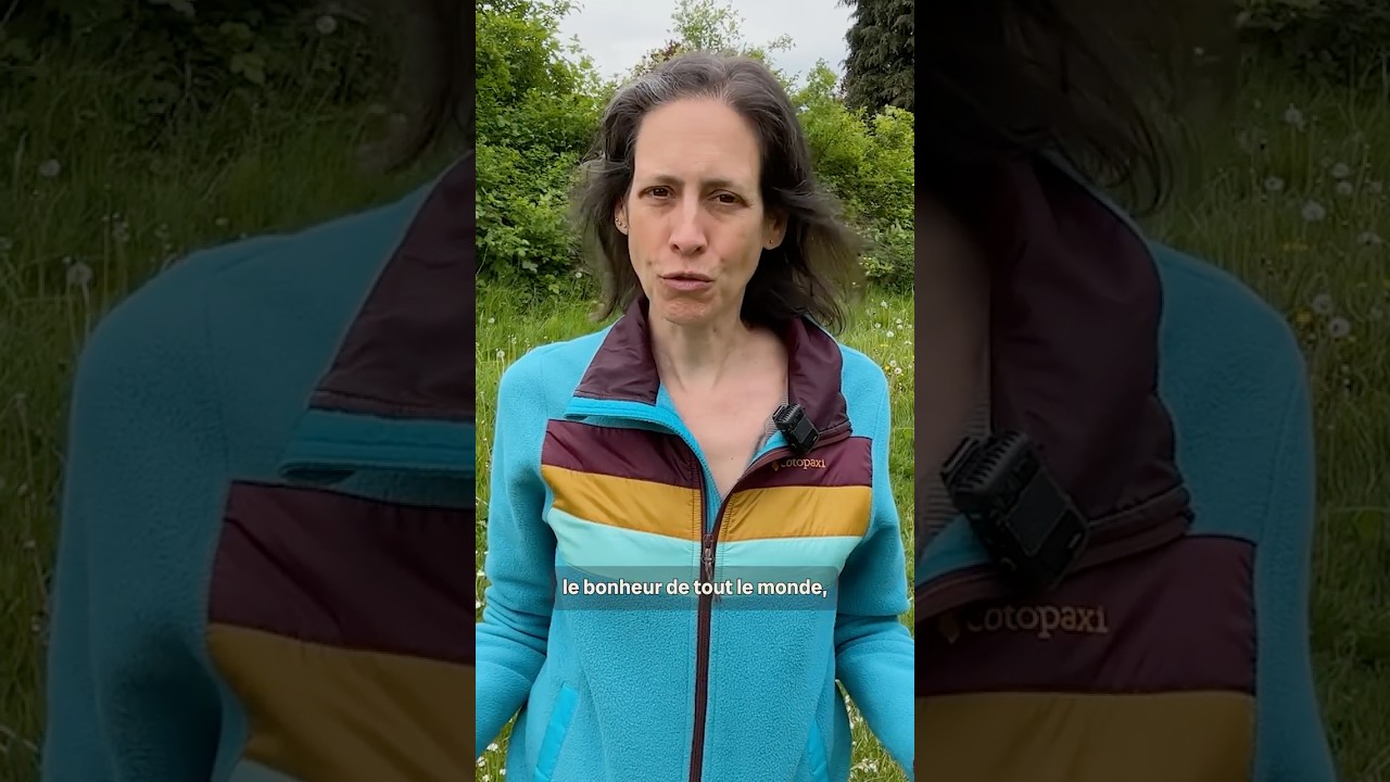 Pollinisateurs : le pouvoir des prairies dans les parcs