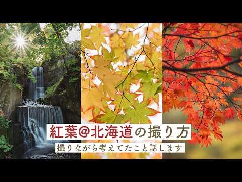 北海道で紅葉を撮影してきたので10枚紹介します
