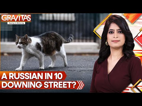 10 Downing Street has a new cat | Gravitas | World News | WION