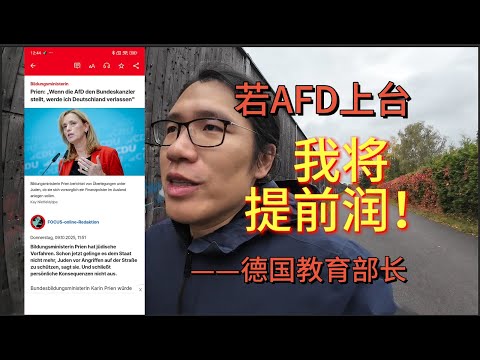 若AFD上台,我将提前润!——德国教育部长