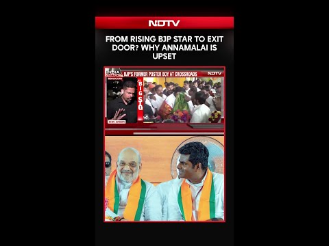 From Rising BJP Star to Exit Door? Why Annamalai Is Upset