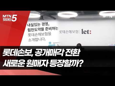 롯데손보, 공개매각으로 판 바꾼다…새 주인 찾을까 / 머니투데이방송 (뉴스)