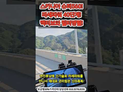2026년 <strong>10월</strong> 10일