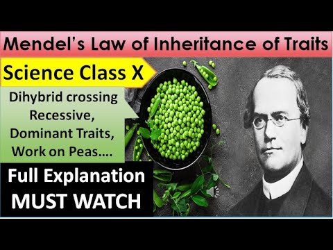Heredity and Evolution L-5 | 3 Laws of Mendel | CBSE Class 10 Chapter 9 | Mendel’s experiment