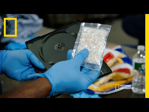 LIVE: What Does It Take To Catch a Smuggler? Watch Now | National Geographic